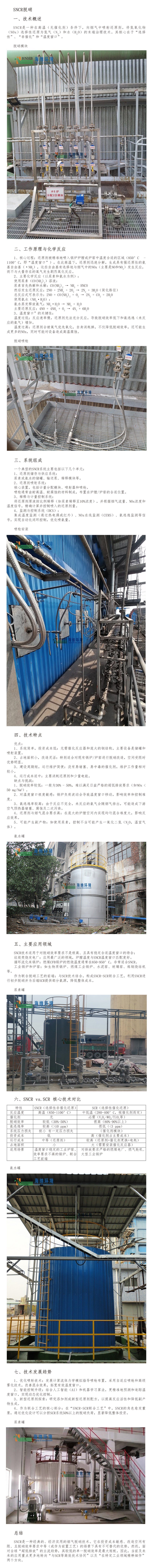 SNCR脱硝 - 小内存